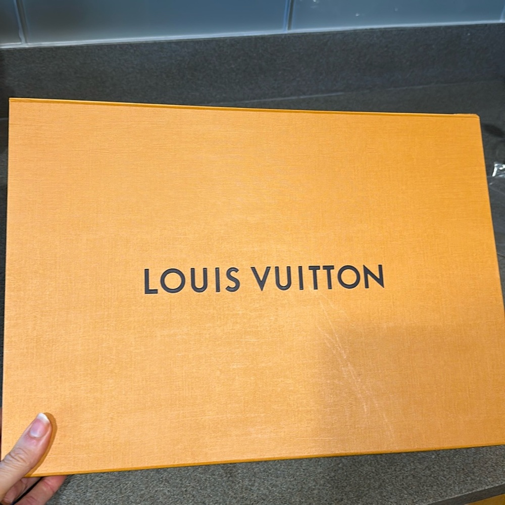Louis Vuitton Essential Shine Scarf - Picture 2 of 6